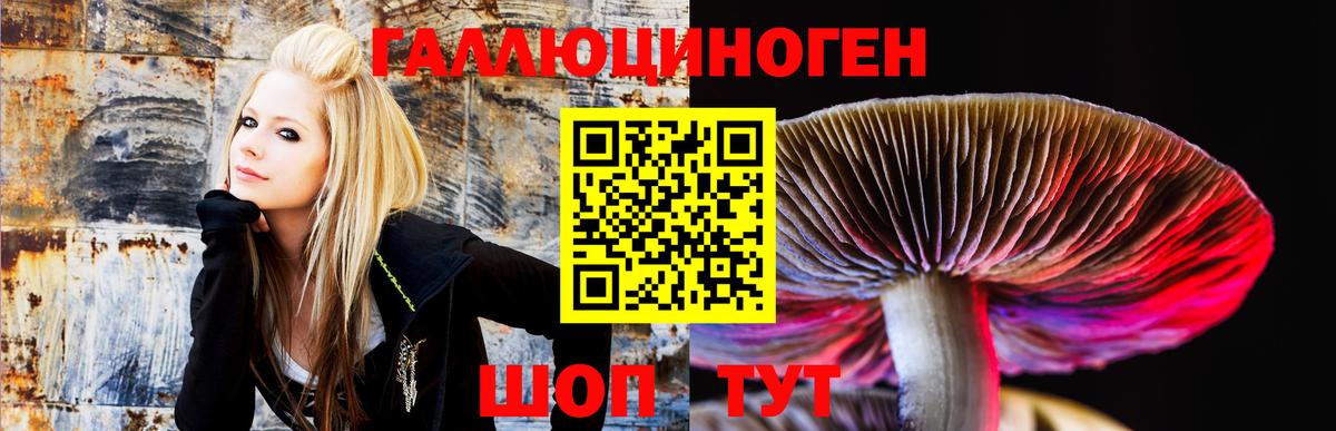 Псилоцибиновые грибы GOLDEN TEACHER Лиски